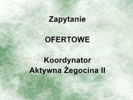 Zapytanie ofertowe koordynator Aktywna Żegocina II