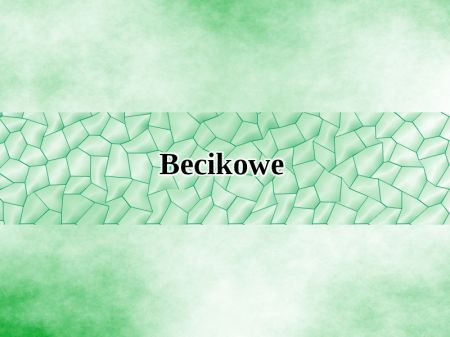 JEDNORAZOWA ZAPOMOGA Z TYTUŁU URODZENIA DZIECKA (TZW. BECIKOWE)